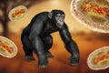 Chimpanzee monkey surrounded by monkeypox viruses, conceptual 3D illustration