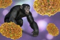 Chimpanzee monkey surrounded by monkeypox viruses, conceptual 3D illustration