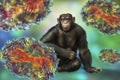 Chimpanzee monkey surrounded by monkeypox viruses, conceptual 3D illustration