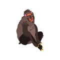 Chimpanzee Monkey Wild Exotic African Animal Vector Illustration