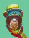 Chimpanzee polygonal illustration. Vector eps 10