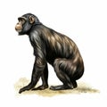 Chimpanzee Sitting: Light Black And Bronze Illustration Of Characterized Animals
