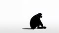Chimpanzee sitting on the floor isolated on a white background Royalty Free Stock Photo