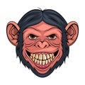 Chimpanzee. Vector illustration of a monkey face. Portrait wild animal in zoo Royalty Free Stock Photo
