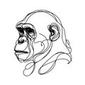 A black and white drawing of a chimpanzee's head, with a long, curved nose and large eyes.