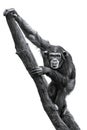 Chimpanzee XXV Royalty Free Stock Photo