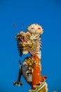 Asian dragon statue in chinese temple Royalty Free Stock Photo