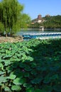 China Beijing Summer Palace