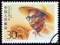 CHINA - CIRCA 1990: A stamp printed in China from the `Scientists` issue shows Agriculturalist Ding Ying, circa 1990.