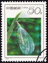 CHINA - CIRCA 1992: A stamp printed in China shows Lacewing Chrysopa septempunctata, circa 1992.