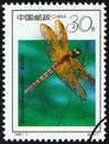 CHINA - CIRCA 1992: A stamp printed in China shows Dragonfly Sympetrum croceolum, circa 1992.