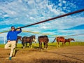 China - Cow boy in inner mongolia Royalty Free Stock Photo