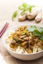 China food - noodles Royalty Free Stock Photo