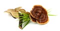 China Ganoderma medicine. Royalty Free Stock Photo