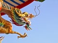 China gold dragon statue