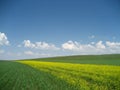 China grassland Royalty Free Stock Photo