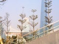 China Guangzhou architecture
