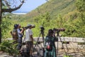 City street,A group of Chinese photographers shooting nature and fauna