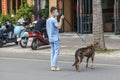 China, Hainan Island, Dadonghai Bay - City street, in the city of Sanya,volunteer help, a Chinese vet rescues a