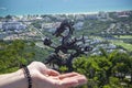 China, Hainan Island -: The Dragon Bronze in Yalong Bay, Sanya, China. There is a Dragon Bronze on the top of the Royalty Free Stock Photo