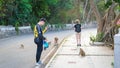 China, Hainan Island, Sanya - May 15, 2019: A flock of wild monkeys went on the road to the delight of tourists