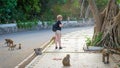 China, Hainan Island, Sanya - May 15, 2019: A flock of wild monkeys went on the road to the delight of tourists