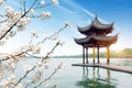 China Hangzhou West Lake Landscape Royalty Free Stock Photo