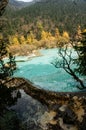 China Huanglong calcification pool of sichuan Royalty Free Stock Photo