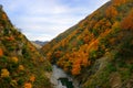 China Hubei Province, Shennongjia landscape Royalty Free Stock Photo