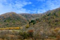 China Hubei Province, Shennongjia landscape