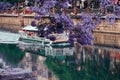 China Jacaranda Boat Royalty Free Stock Photo