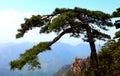 China jiangxi province sanqing hill mountain