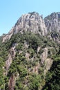 Mountain, mountainous, landforms, vegetation, rock, mount, scenery, wilderness, nature, reserve, escarpment, tree, cliff, national