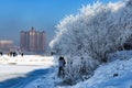 CHINA JILIN The impression of winter Royalty Free Stock Photo