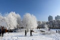 CHINA JILIN The impression of winter Royalty Free Stock Photo