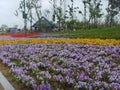 China Jinzhou International Horticultural ExpositionÃ¯Â¼Âflower Royalty Free Stock Photo