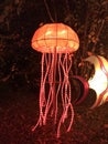 China lights jellyfish