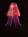 China lights jellyfish