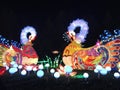 China lights swans