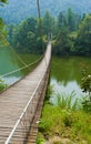 China Longyuan Gorge Bridge jungle Royalty Free Stock Photo