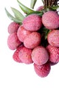 China Lychees Royalty Free Stock Photo