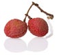 China Lychees