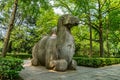 China Nanjing Ming Xiaoling Mausoleum 17 Royalty Free Stock Photo