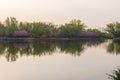 China National Botanical Garden spring