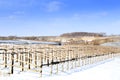China north field winter view,the wood structure local greenhouse frame