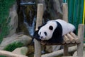 China pandan âyiyiâ