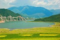 China Qinghai Flower and Field Landscape