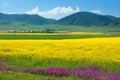 China Qinghai Landscape Royalty Free Stock Photo