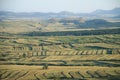 China rural landscape