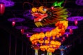 Chinese totem dragon